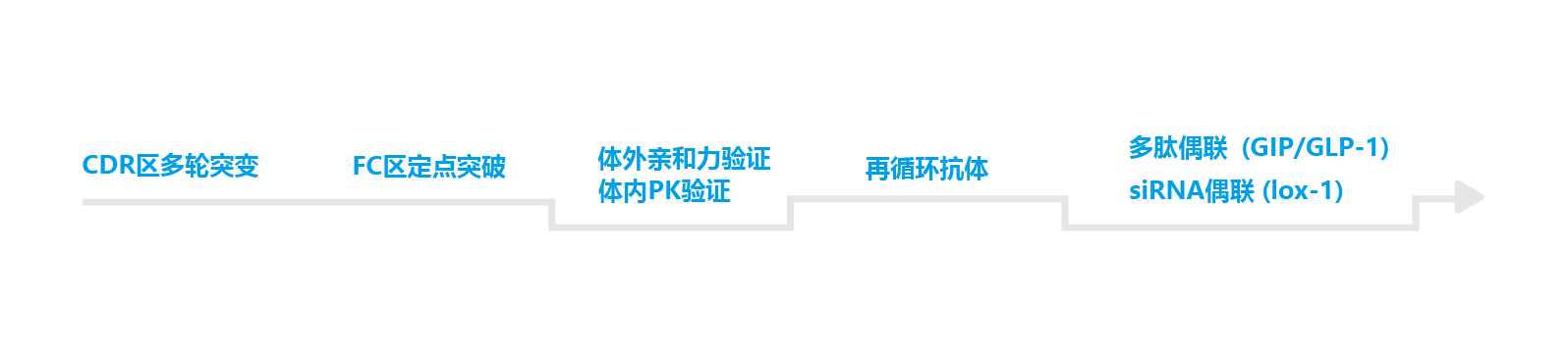 RAF™超长效分子开发平台